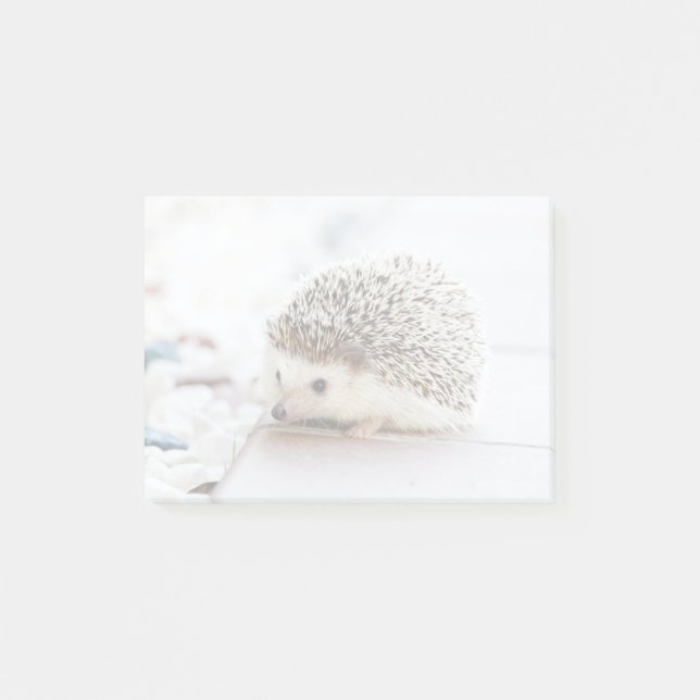Notas Post-it® Pequeño Hedgehog (Anverso)