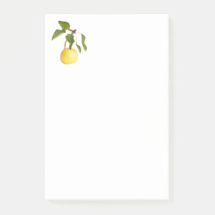 Notas Post-it® pera salvaje