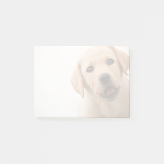 Notas Post-it® Perrito de oro de Labrador (Anverso)