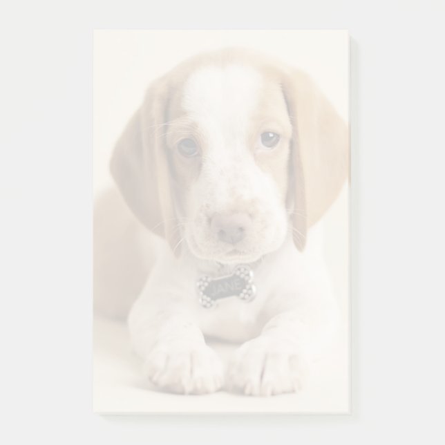 Notas Post-it® Perrito del beagle (Anverso)