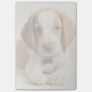 Notas Post-it® Perrito del beagle