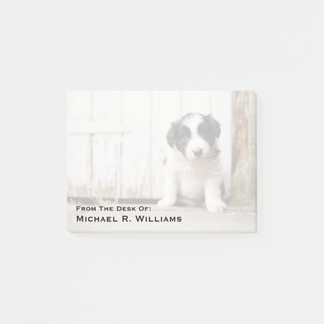 Notas Post-it® Perrito del border collie (Anverso)