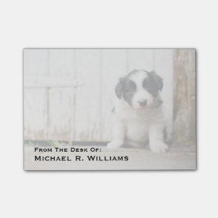 Notas Post-it® Perrito del border collie