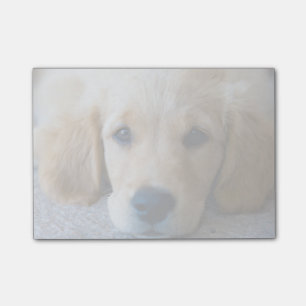 Notas Post-it® Perrito dulce, dulce