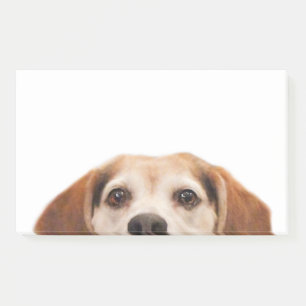 Notas Post-it® Perro beagle moderno trendy
