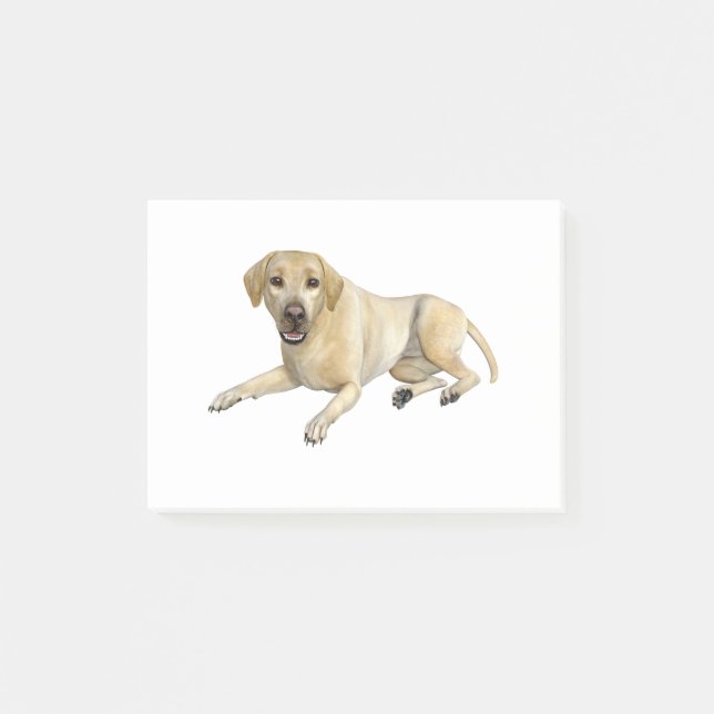 Notas Post-it® Perro beige de Labrador que se acuesta (Anverso)