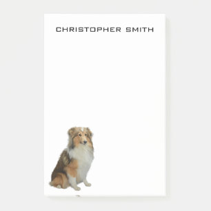 Notas Post-it® Perro de Collie duro