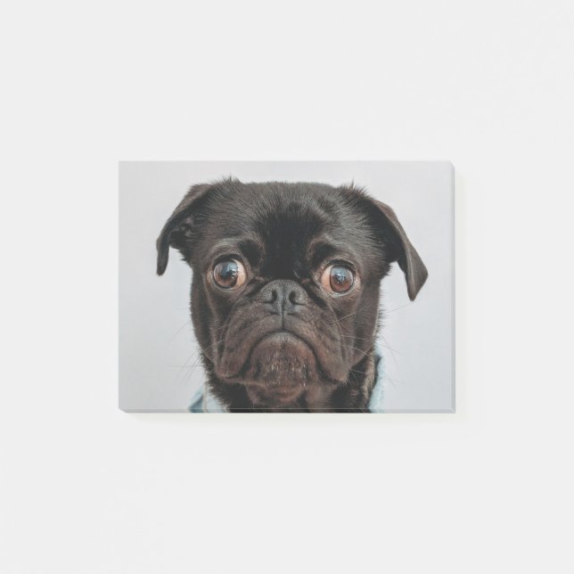 Notas Post-it® perro de negocios (Anverso)
