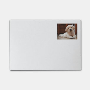 Notas Post-it® Perro de perrito amarillo de Labrador del bebé qu