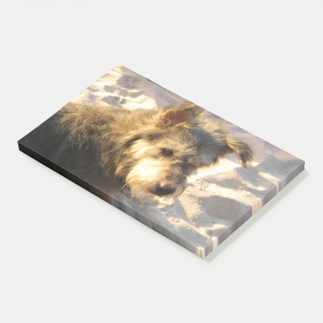 Notas Post-it® Perro de playa tailandés (En perspectiva)