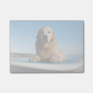 Notas Post-it® Perro del golden retriever que pone en un tablero