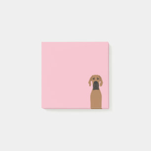 Notas Post-it® Perro del Gran Dane Fawn