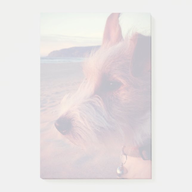 Notas Post-it® Perro Frente A La Playa (Anverso)