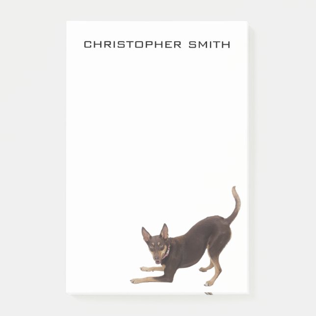 Notas Post-it® Perro Kelpie australiano (Anverso)