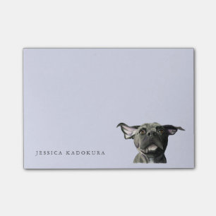 Notas Post-it® Perro negro del pitbull con la acuarela