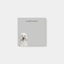 Perro patrón blanco de cangrejo