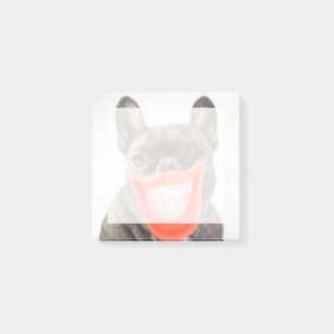 Notas Post-it® Perro sonriente de las imágenes el   A de Getty