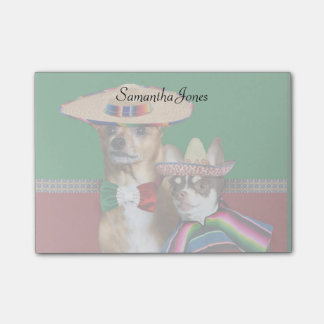 Notas Post-it® Perros mexicanos de Chihuahua 4x3 postean el panel