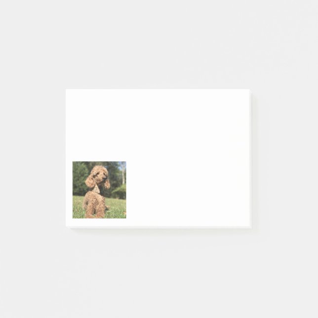 Notas Post-it® Personalizable Apricot Poodle (Anverso)