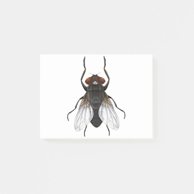 Notas Post-it® personalizado de mosca doméstica (Anverso)