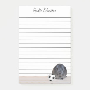 Notas Post-it® Personalizado Gray Guinea Mascota de Cerdo