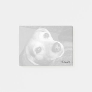 Notas Post-it® Personalizado Mascota blanco y negro foto moderna