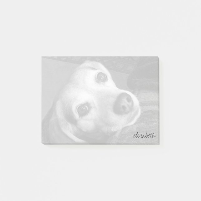Notas Post-it® Personalizado Mascota blanco y negro foto moderna  (Anverso)