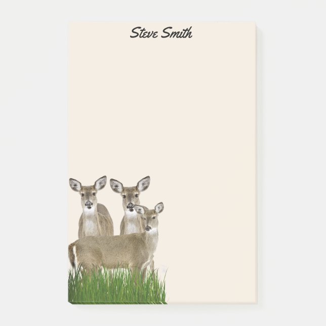 Notas Post-it® Personalizar Con Su Nombre Deer Whitetail (Anverso)