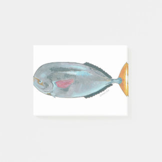 Notas Post-it® pescados louvar