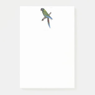 Notas Post-it® Pintura de la naturaleza del loro verde de Macaw B