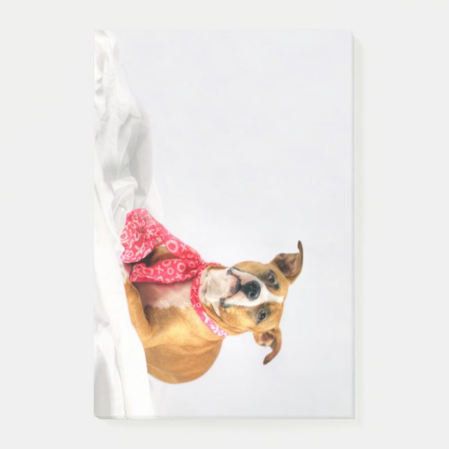 Notas Post-it® Pit Bull cachorro amor en XOXO rosado (Anverso)