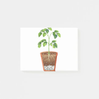 Notas Post-it® Planta en olla