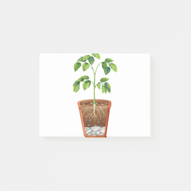 Notas Post-it® Planta en olla (Anverso)