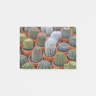 Notas Post-it® Plantas de cactus