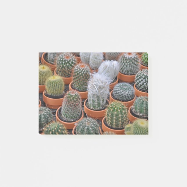 Notas Post-it® Plantas de cactus (Anverso)