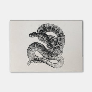 Notas Post-it® Plantilla de la serpiente del reptil de la