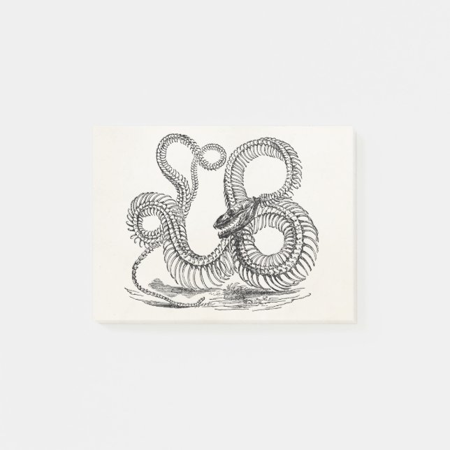 Notas Post-it® Plantilla personalizada esqueleto de la serpiente (Anverso)