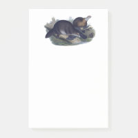 Platypus lindo en un Ilustracion de troncos de ani