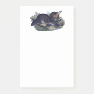Notas Post-it® Platypus lindo en un Ilustracion de troncos de ani