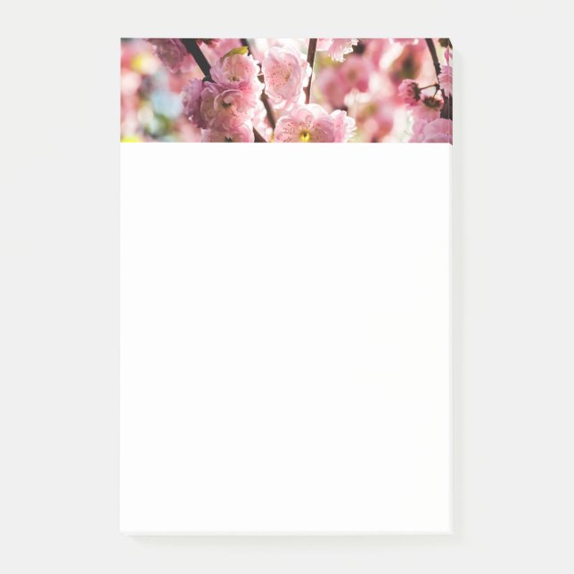 Notas Post-it® Pluma de flores - Paradismo rosa (Anverso)