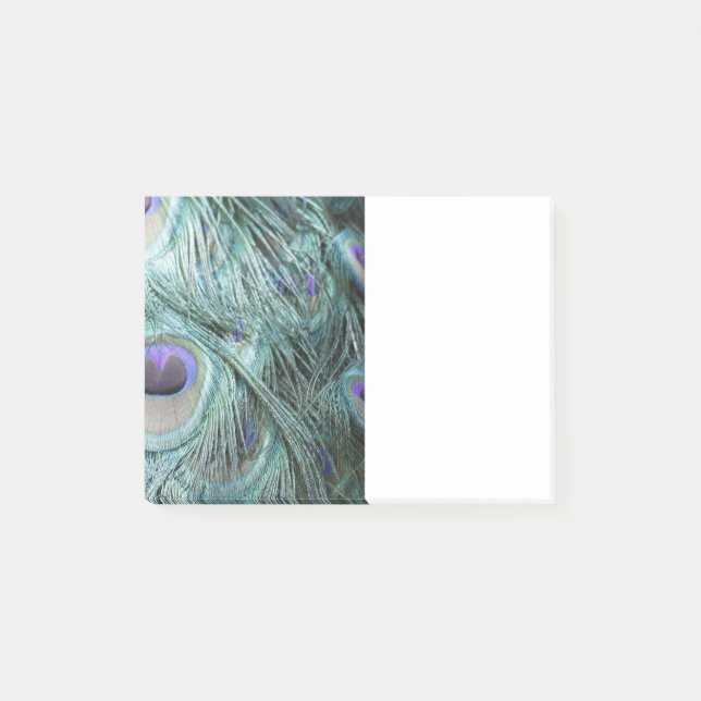 Notas Post-it® plumas del pavo real (Anverso)