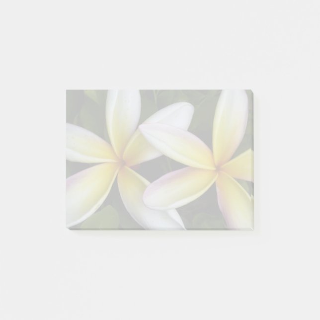 Notas Post-it® Plumerias blandas de Hawái (Anverso)