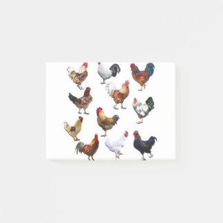 Notas Post-it® Pollo de color de gallo