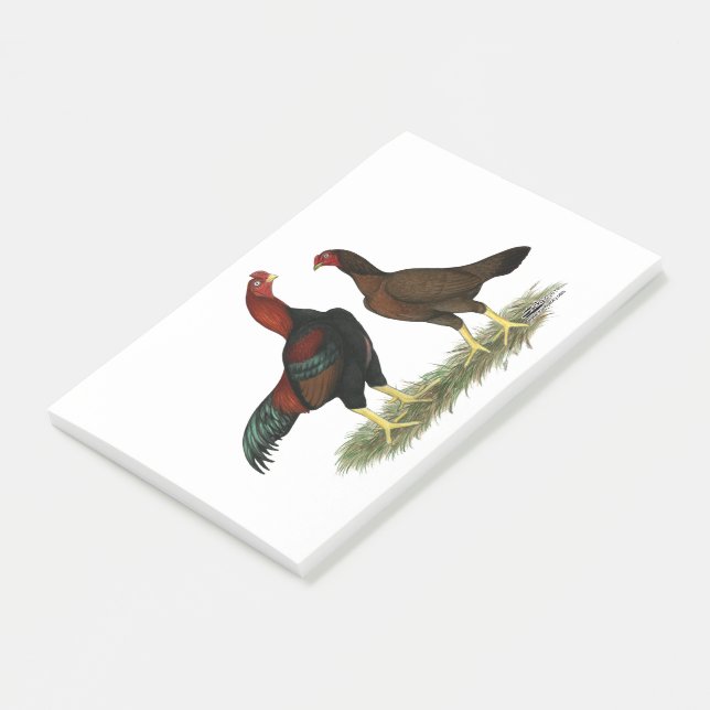 Notas Post-it® Pollos Aseel Black Red (En perspectiva)