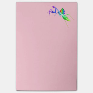 Notas Post-it® Predicador y sapo del arco iris