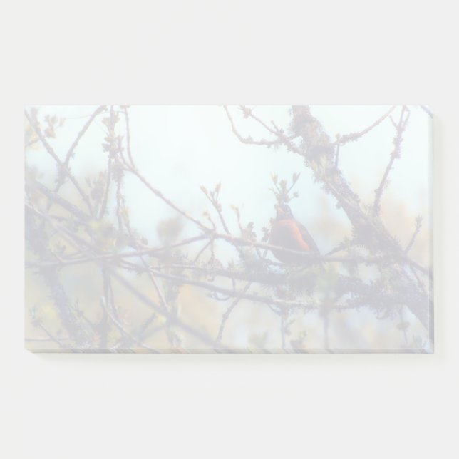 Notas Post-it® Primavera (Anverso)