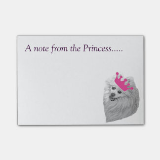 Notas Post-it® Princesa Pomeranian observa las ilustraciones