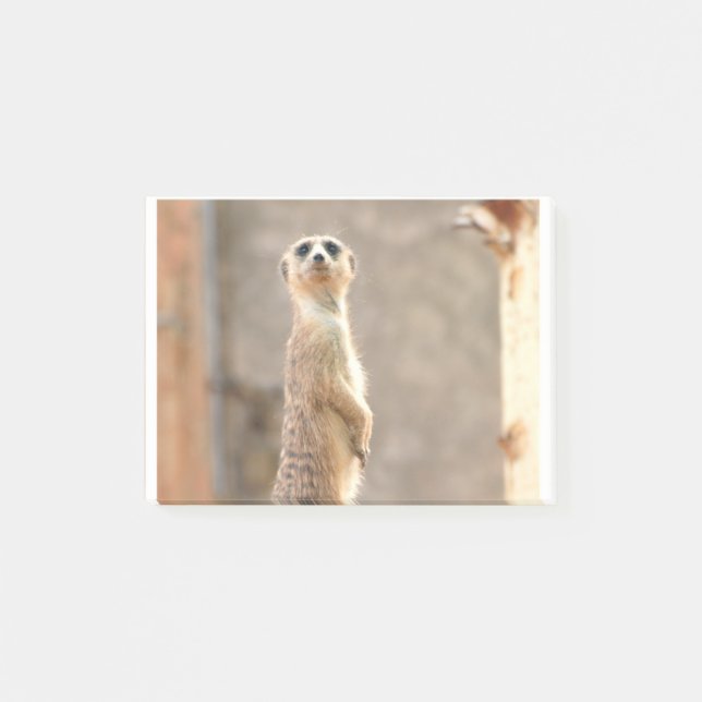 Notas Post-it® Producto del personalizar (Anverso)