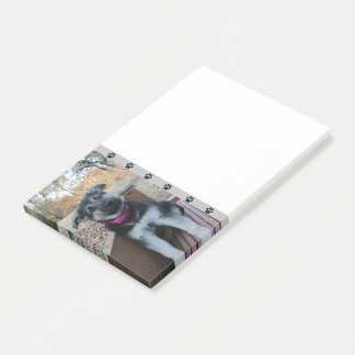 Notas Post-it® Puppy Waits on the Stairs Post-it Notes