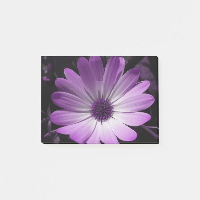 Notas Post-it® Purple Daisy Flower Post anota Pad (Anverso)